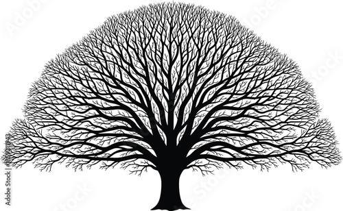 Detailed black tree silhouette with intricate branch network, sprawling fractal canopy isolated on white, conceptual nature illustration for genealogy, growth, and environmental design.
