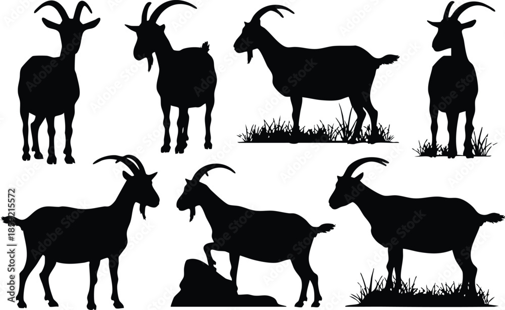 Fototapeta premium Goat Silhouettes in Various Outdoor Poses, Black Silhouette Collection of Farm and Mountain Goats, Livestock Profile Illustrations with Grass and Rock Accents, Goat Herd Vector Art Set.