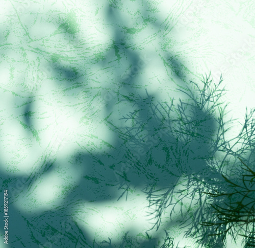 Background green abstract line shadow overlay on cement wall floor beige mockup product cosmetic summer tropical nature presentation frame template eco backdrop environment