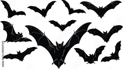 Set of black bat silhouettes flying in the night sky, spooky halloween wildlife icons, colony of fruit bats in flight, animal vector illustration, isolated.
