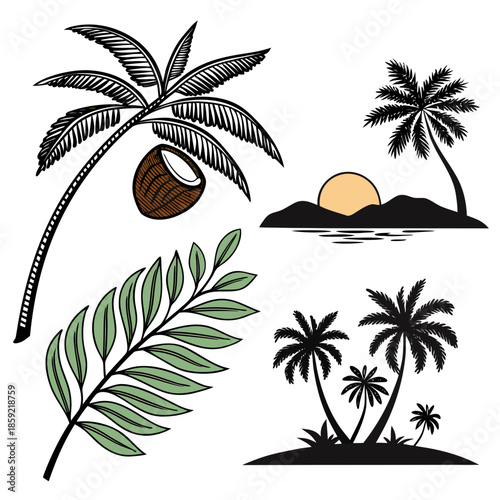 Tropical paradise illustrations