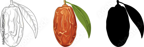 Fresh dates fruit collection with leaves and bowls in outline, colorful, and silhouette styles.