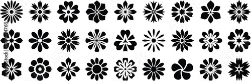 Floral Design Collection: A monochrome arrangement showcasing a variety of intricate flower designs, celebrating the artistry and diversity of nature's beauty.