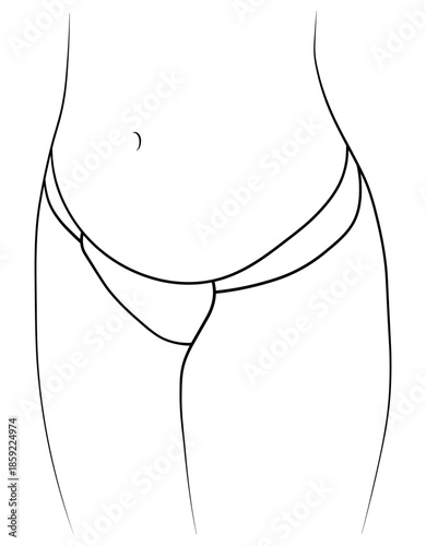 Woman swimsuit bikini panties hand drawn