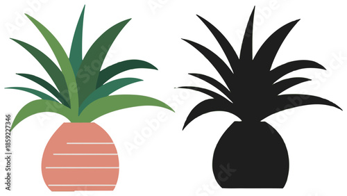 A potted plant is shown in color and as a silhouette.