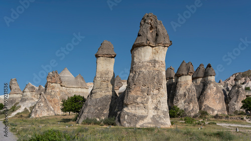 Pasabag Valley's unique fairy chimneys, or hoodoos in Cappadocia, Turkey. Volcanic rock formations create a distinctive landscape under a clear blue sky
