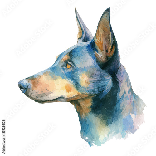 Tableau sur toile watercolor vector of Kelpie, isolated on a white background.