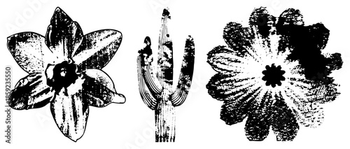 Three stylized flowers and cactus in black and white vector art