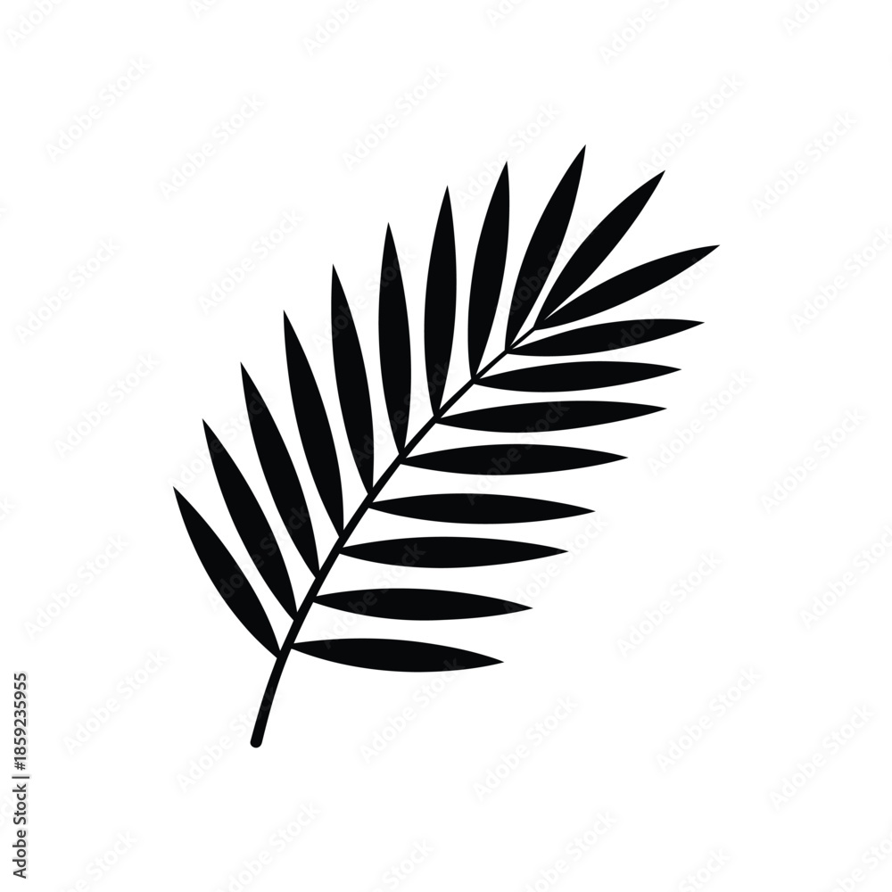 Fototapeta premium Simple black and white illustration of a single palm leaf frond