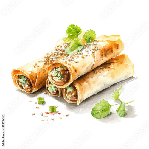 Peking Duck Rolls, watercolor drawing vector, isolated on a white background.