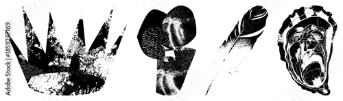 crown feather mask oyster halftone vector