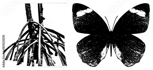 mangrove roots and butterfly silhouette vector