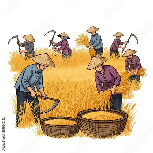Traditional rice harvesting scene with farmers working in golden fields