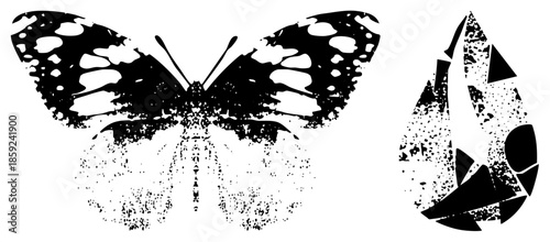 butterfly and water droplet vector