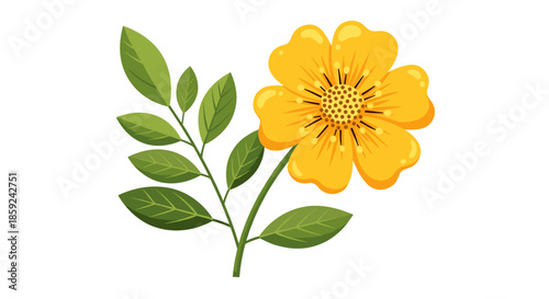 Bright Yellow Wildflower Illustration and Botanical Summer Garden Flora Icon