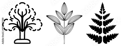 tree leaf fern vector