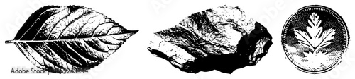 leaf rock coin emblem vector set
