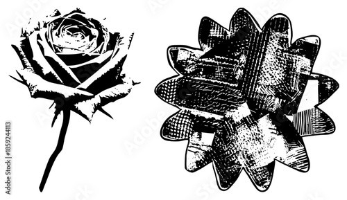 rose and abstract flower vector illustration