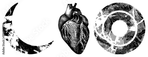 Three vintage engraved medical symbols moon, heart, circular caduceus