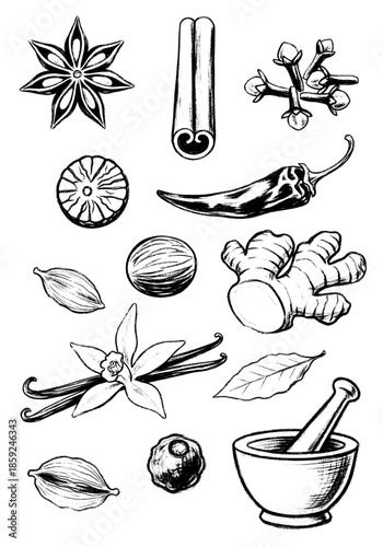 Vintage charcoal sketches of culinary spices and aromatic herbs including cinnamon sticks star anise ginger root chili pepper and vanilla flower with mortar and pestle