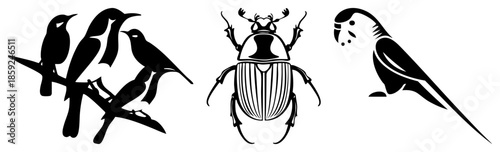 birds and beetle silhouettes