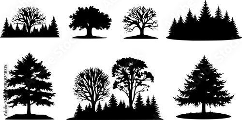 vector Set of forest isolated silhouettes
