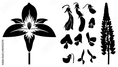 flower plant vector illustration black and white