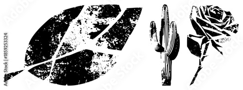 feather cactus rose vector set black white