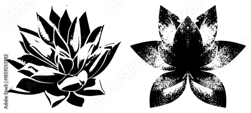 two stylized lotus flowers black and white vector