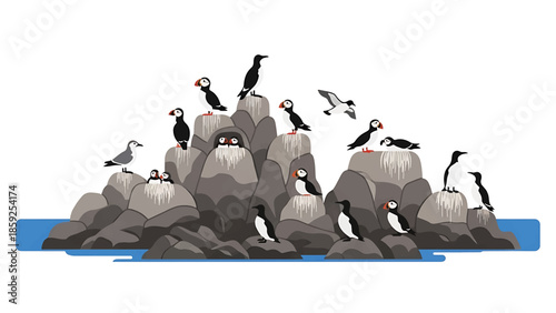 A cartoon-style illustration of an island with several bird species. The birds perch on gray rocks and a strip of water below