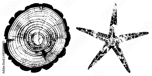 tree stump section and starfish vector illustration