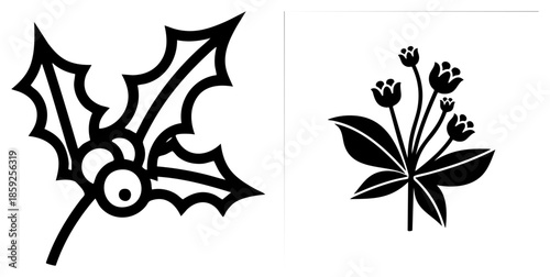 holly leaf with berries and flower plant set