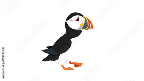 A cartoon-style illustration of a bird with a colorful beak, black and white body, and orange feet against a white background