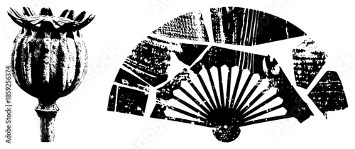 poppy seed pod and broken fan silhouette