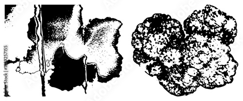 Abstract ink blot isolated