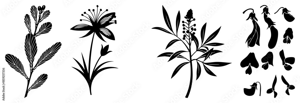Fototapeta premium botanical vector illustrations black and white
