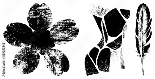 flower feather abstract shapes black and white