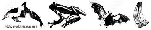 dolphin frog bat textile black and white vector illustrations