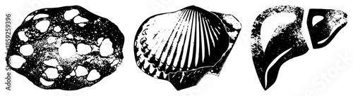 three stylized sea and rock illustration