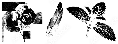 rose feather mint vector set