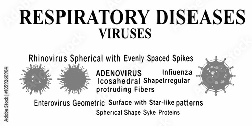 Visual guide to respiratory viruses rhinovirus adenovirus influenza and enterovirus