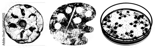 Three bacterial culture plates with colonies