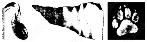 Animal claw, feathered wing, paw print vector