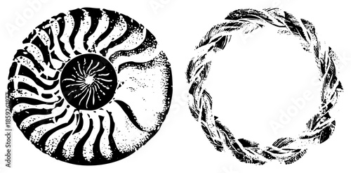 nautilus section and laurel wreath vector