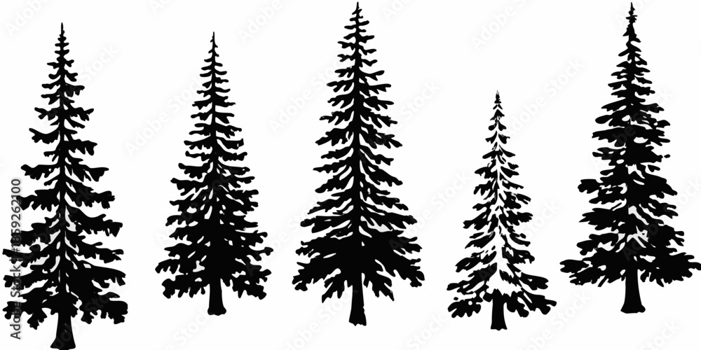 Fototapeta premium Silhouettes of coniferous trees against a plain white background