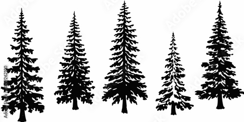 Silhouettes of coniferous trees against a plain white background