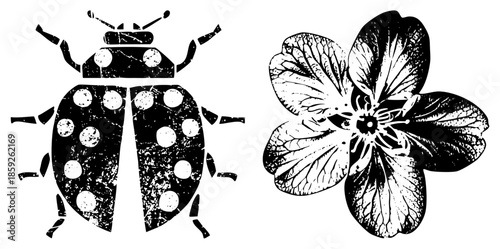 ladybug and flower vector illustration
