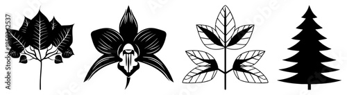four botanical vector black and white