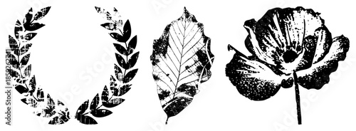 wreath leaf flower vector set black and white