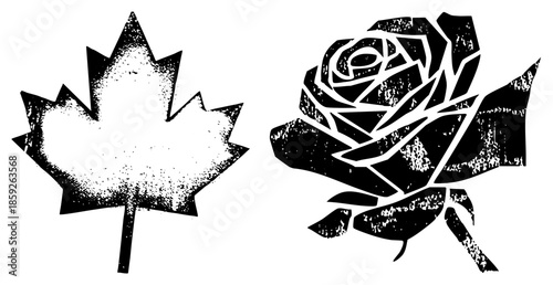 maple leaf and rose vector